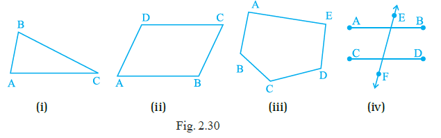 Page 31 Chapter 2 Class 6th NCERT Exemplar